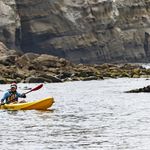 La Jolla Sea Cave Kayaks discount code
